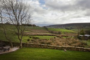 Gorgeous rosedale heather view 65.jpg